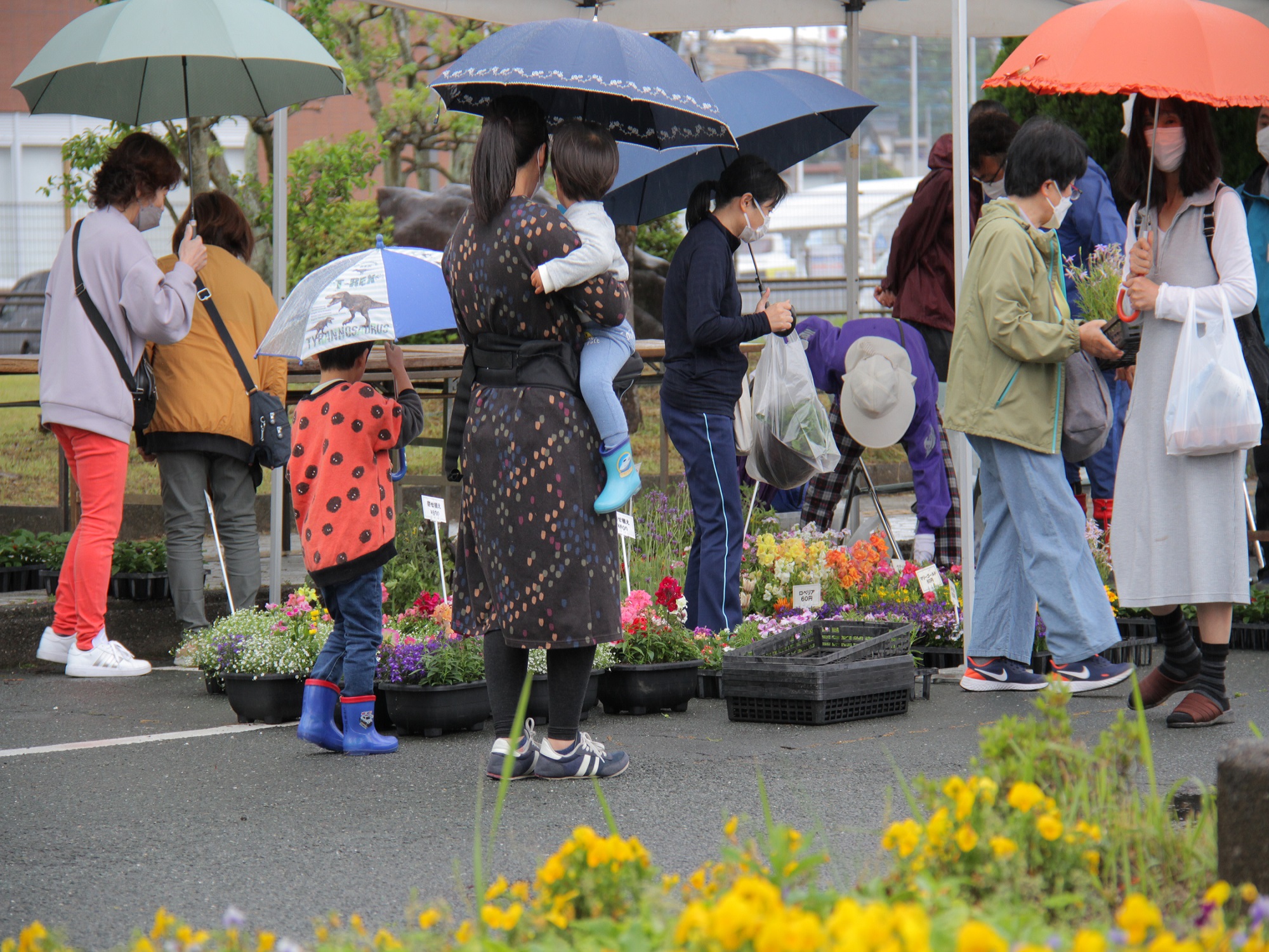 花苗販売写真