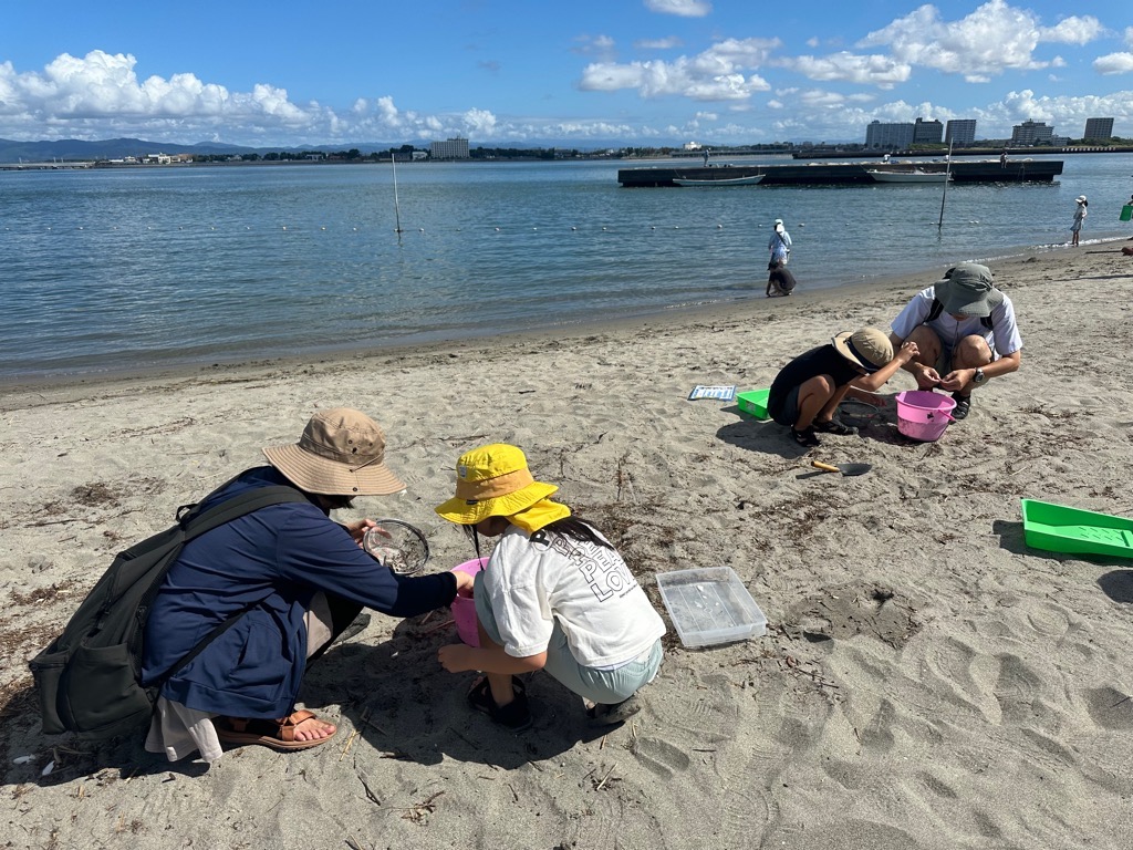 砂浜のごみを調査する様子