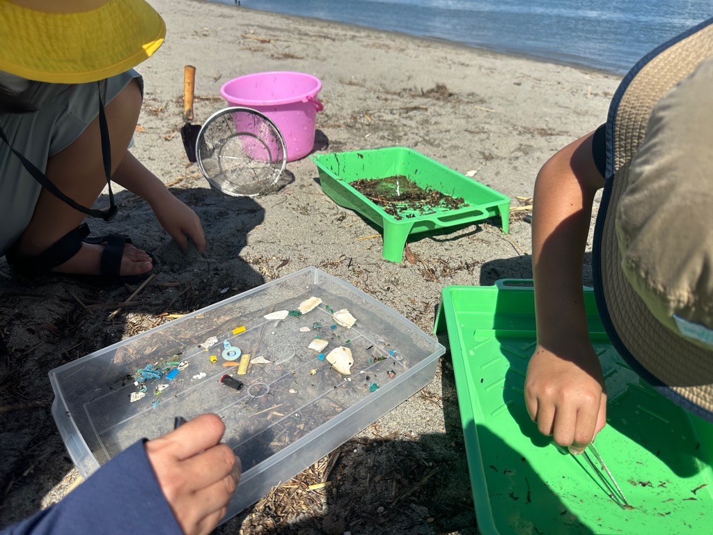 砂浜で見つかったマイクロプラスチック