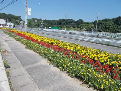 道路脇に色とりどりの花がたくさん植えられている写真