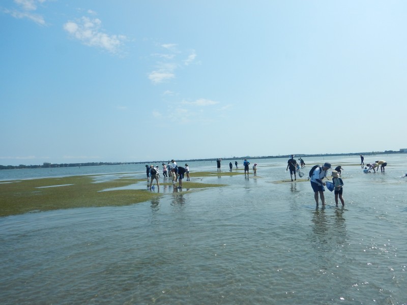 夏の環境学習会