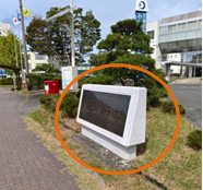 ライトアップ場所