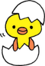 ひよこ写真