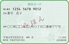 個人番号・氏名・住所などが記載された通知カード表面の見本画像