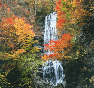 紅葉と滝の写真