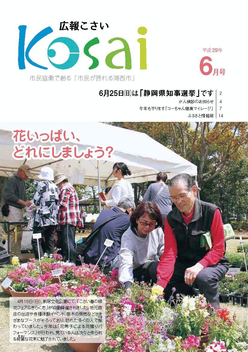 広報こさい平成29年6月号表紙の写真