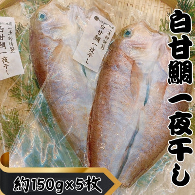 白甘鯛