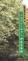 トキワマンサクと神座古墳群