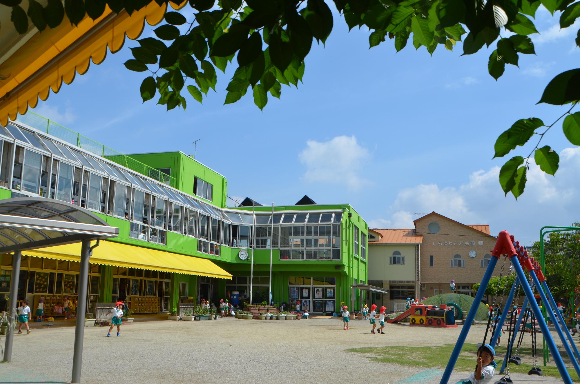 shirayuri-2