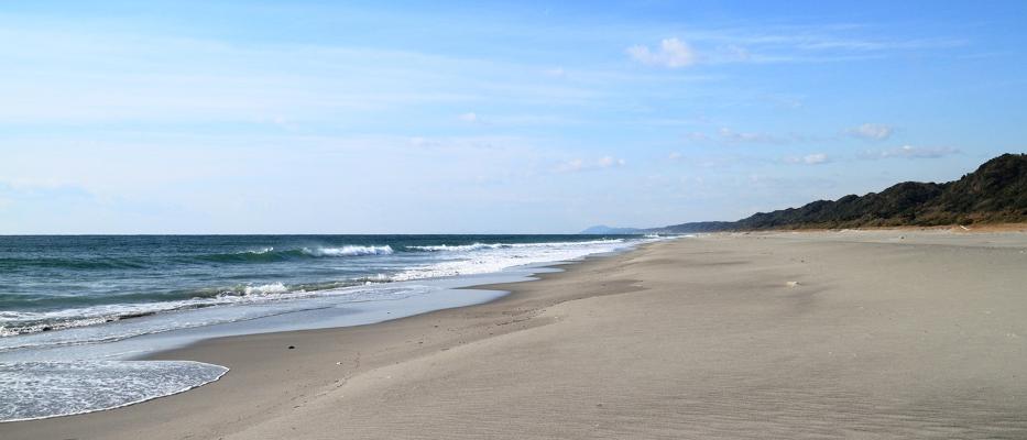 晴天の中、手前から奥まで続く海岸線の画像