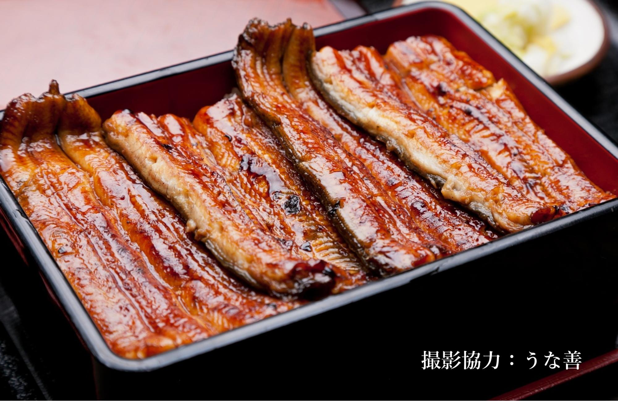 湖西市の特産品「うなぎ」を食べよう!/湖西市 湖西市の特産品「うなぎ」を食べよう!/湖西市