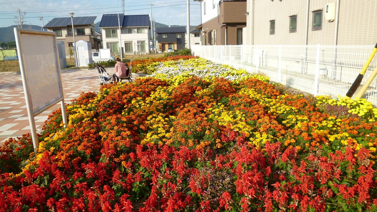 遊歩道の長い花壇に色とりどりの花が植えられている写真