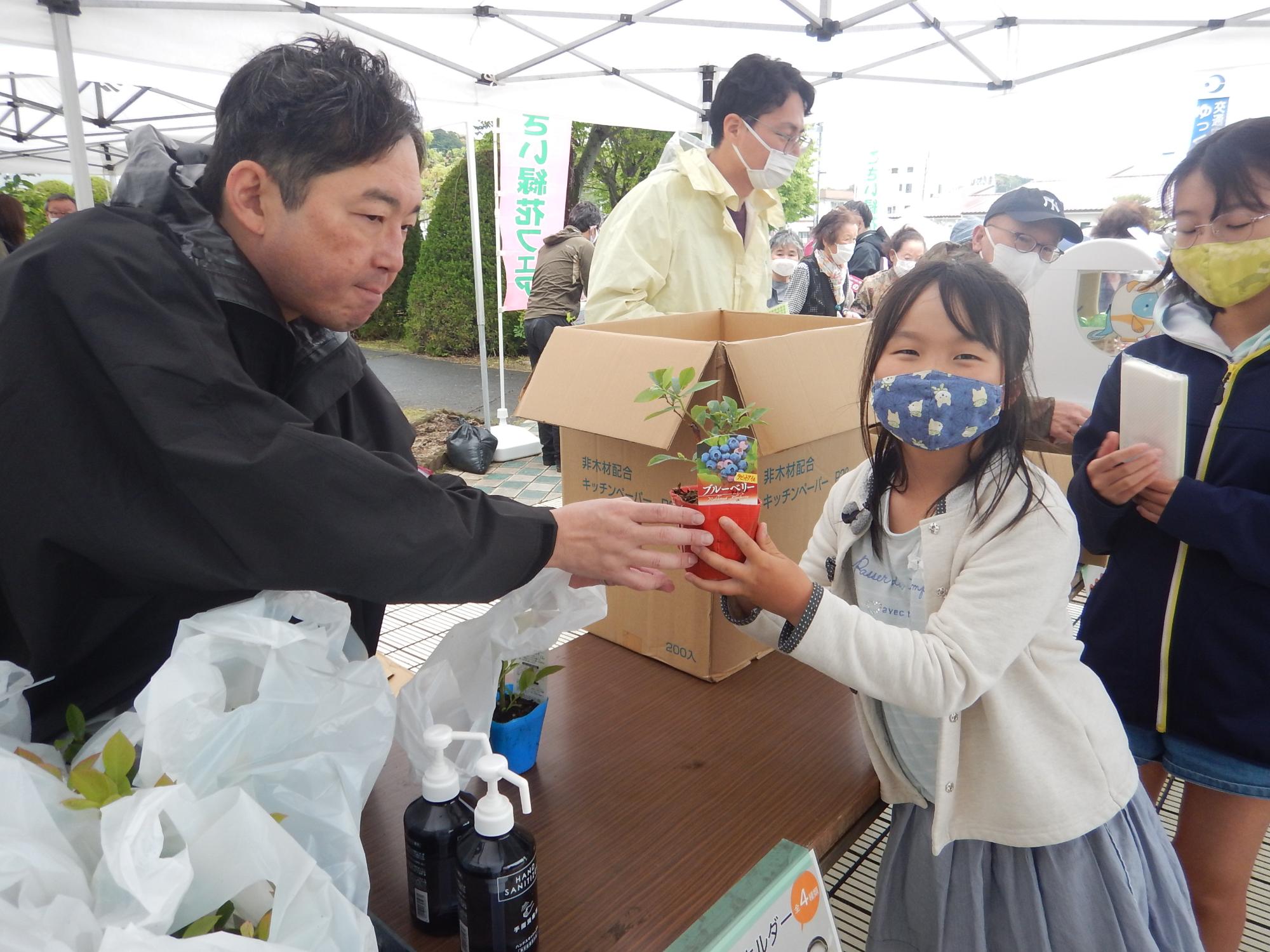 来場者に苗木を配布している写真