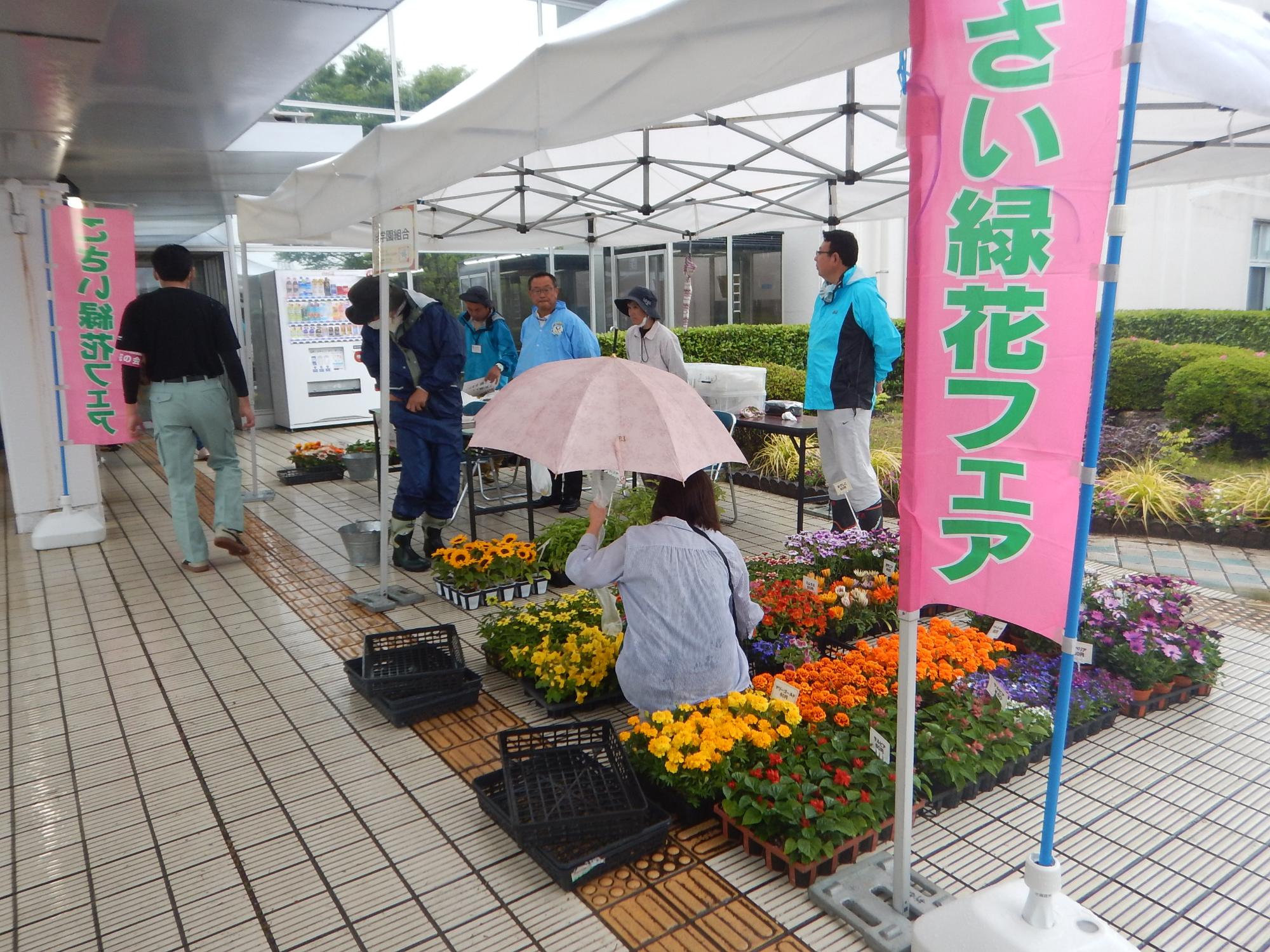 緑花フェア 令和7年度の様子
