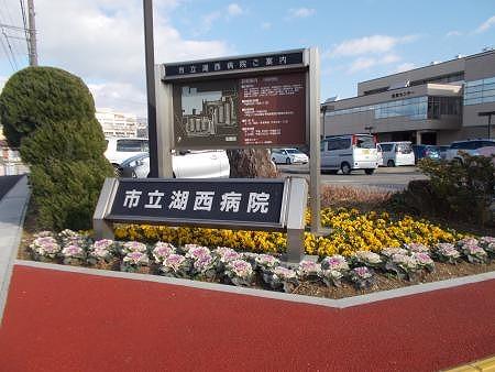 湖西市立西病院の看板のある花壇にきれいに植えられた葉牡丹など写真