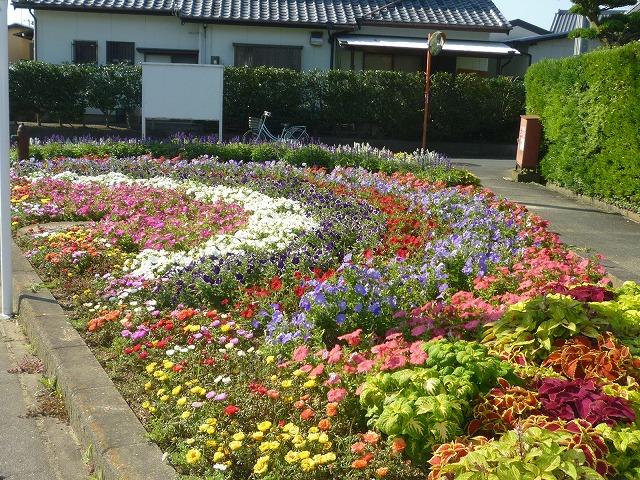 道路脇に色とりどりの花がたくさん植えられている写真
