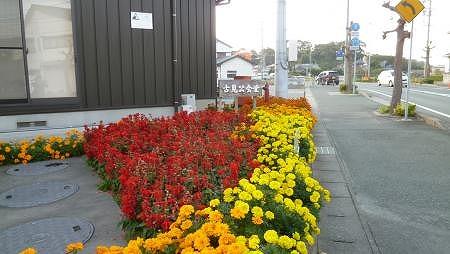花の会の会員さんたちが歩道脇の花壇に植えた赤や黄色の花々の写真