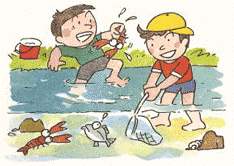 水生生物観察会