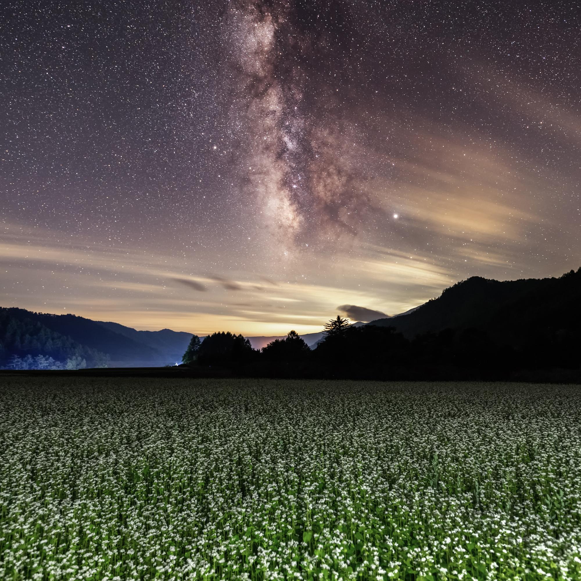 畑と星空の写真