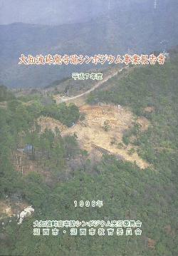 大知波峠廃寺跡の報告書